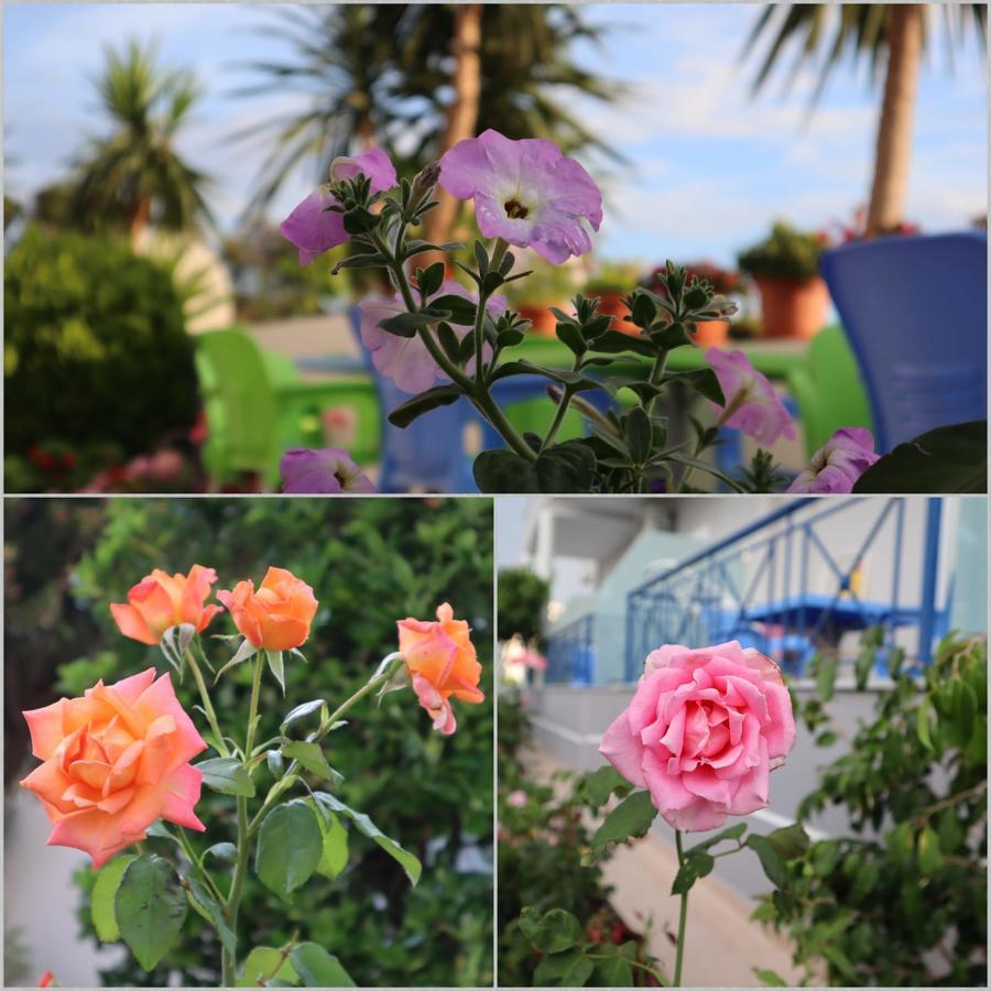 Erdeti Boutique Hotel ซารานเดอ ภายนอก รูปภาพ